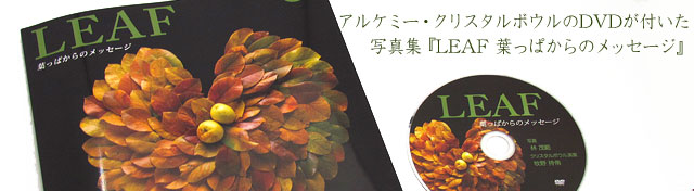 DVD�դ��̿�����LEAF �դäѤ���Υ�å�������
