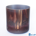 ��ԥɥ饤�ȡ�8����� D#��